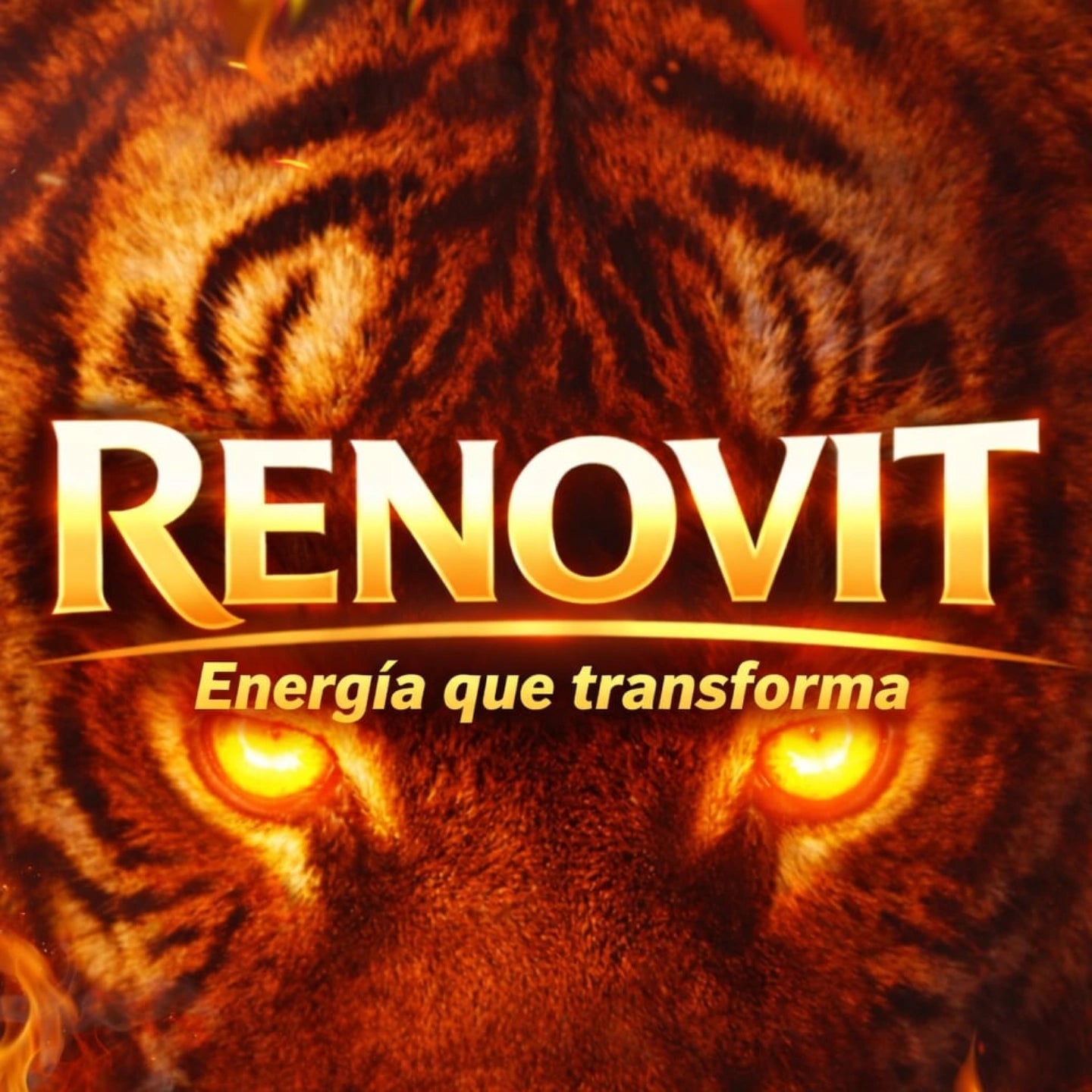 RENOVIT